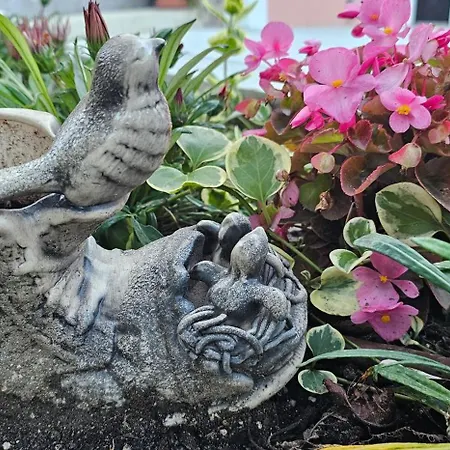 Appartement Victoria Obzor