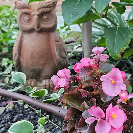 Victoria Apartament Obzor