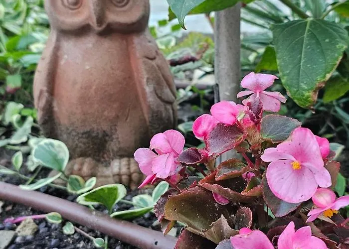 Victoria 公寓 奥布佐尔